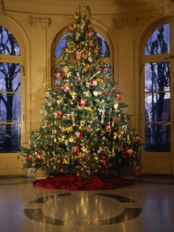 Luxuriant Christmas Tree