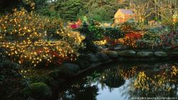 Christmas Cottage Nature