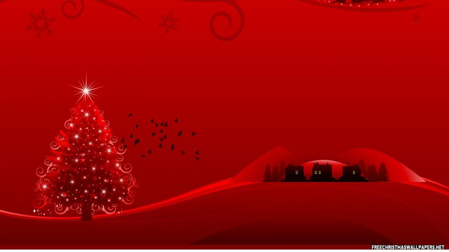 Christmas Magic Night