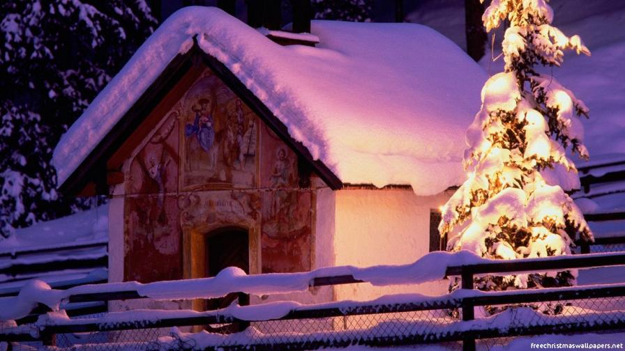 Christmas Nature 03
