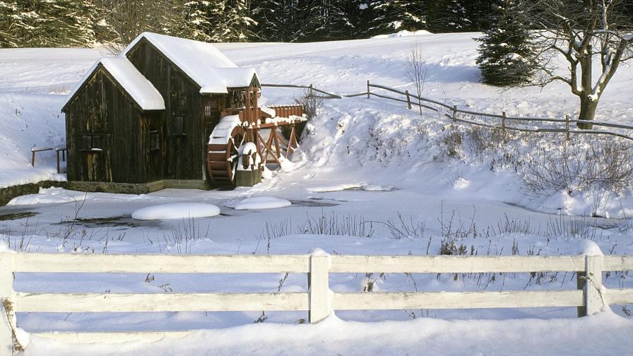 Christmas Nature 1074