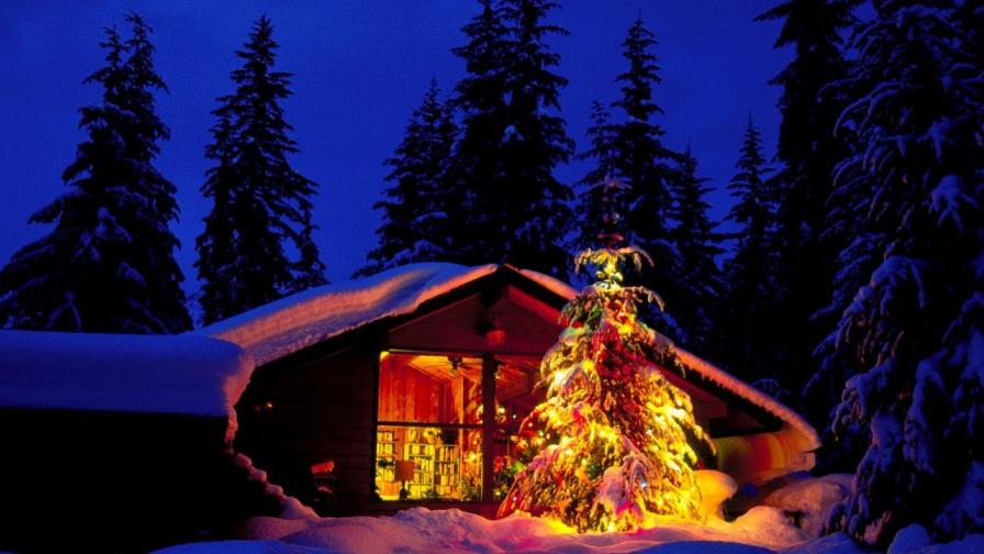 Christmas Tree 03