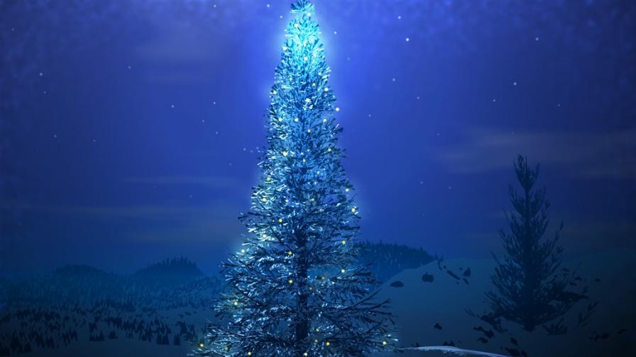 Christmas Tree Under Stars