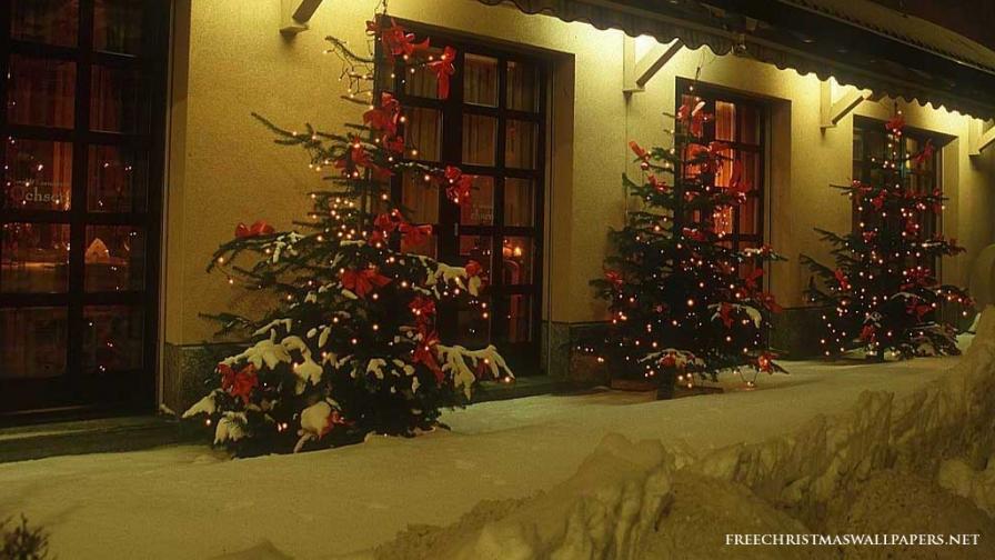 Christmas Trees