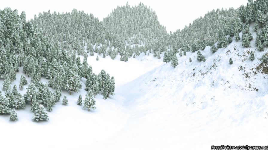Christmas Winter Forest