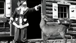 Reindeer Games