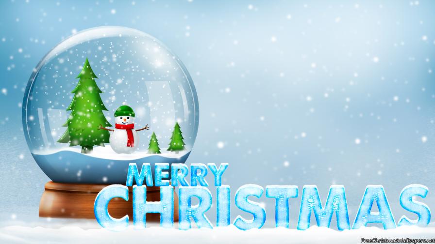 Snow Globe Merry Christmas
