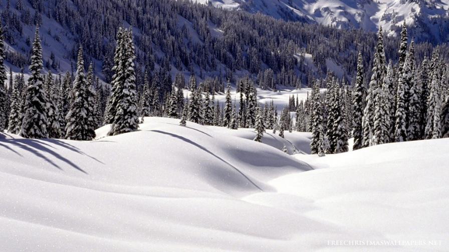 Tatoosh Range At Christmas