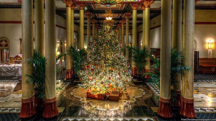 Top Christmas Tree