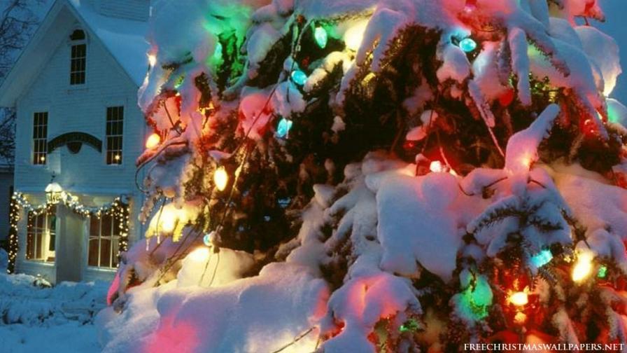 Xmas Nature Lights