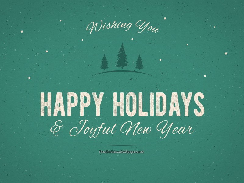 Wishing You Happy Holidays and Joyful Year 800x600 Wallpaper